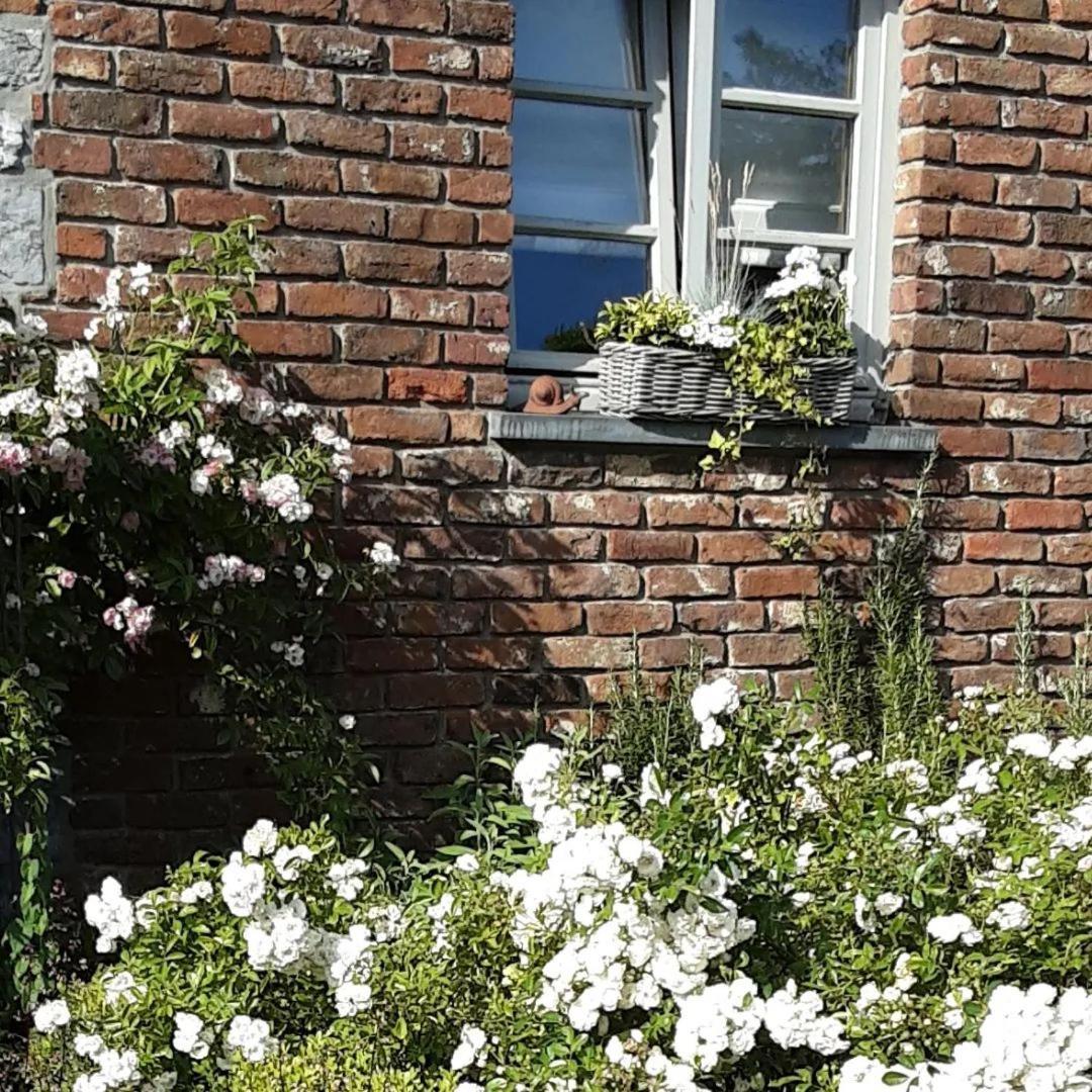 Fernelmont A L'Ombre Du Noyer Bed & Breakfast エクステリア 写真
